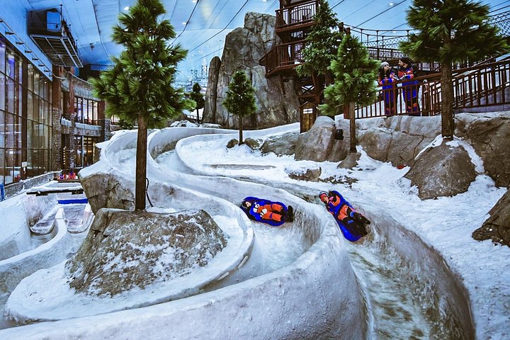 Dubai Miracle Garden and Ski Dubai Tickets with Private Transfer