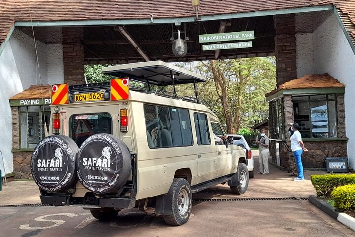 Half-Day National Wildlife Safari Private Tour in Nairobi