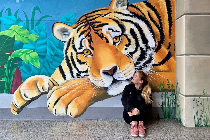 Private Tour in Street Art in Paris with an Artist