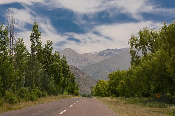 Full Day Private Uco Valley Wine Tour from Mendoza