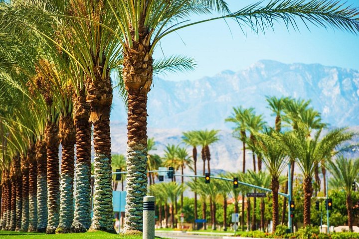 Palm Springs and Joshua Tree Self-Guided Driving Audio Tours