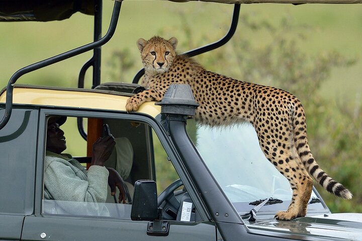 3-Days Maasai Mara Camping Safari on 4x4 Land Cruiser Jeep