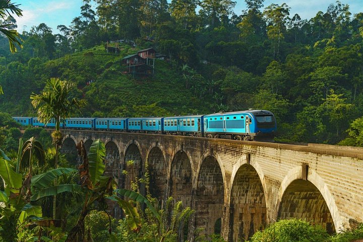 Private Ella Tour from Galle and Weligama with Meals Included