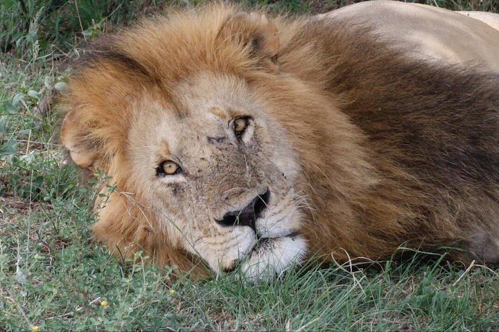 Day Trip To Ngorongoro Crater