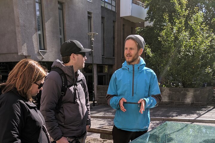 Promenade en viking: visite privée des principaux sites et attractions de Reykjavik