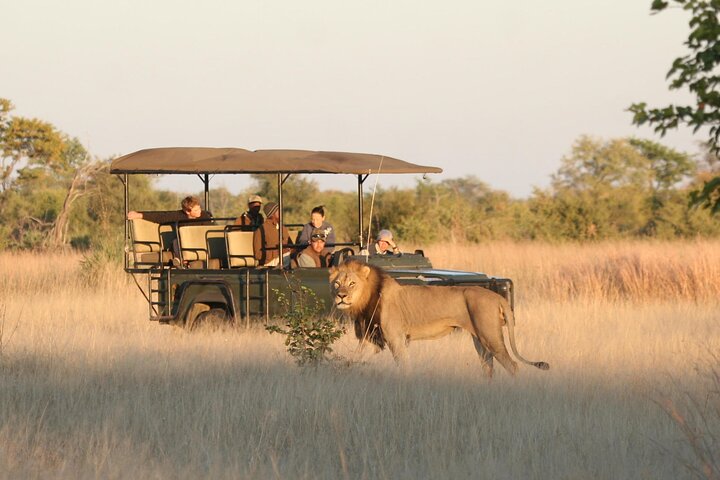 4 Day Hwange and Victoria Falls Budget Package