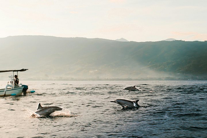 Lovina Sunrise Dolphin with Banyumala, Wanagiri & Ulun Danu