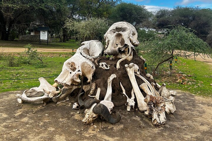 3Day Culture & Wildlife Safari: Tarangire,Ngorongoro & Lake Eyasi