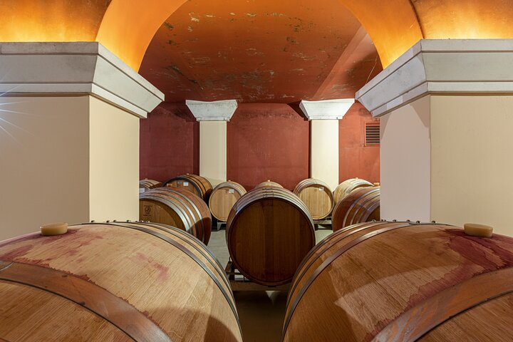 Cata de vinos en Nice Taste of Provence