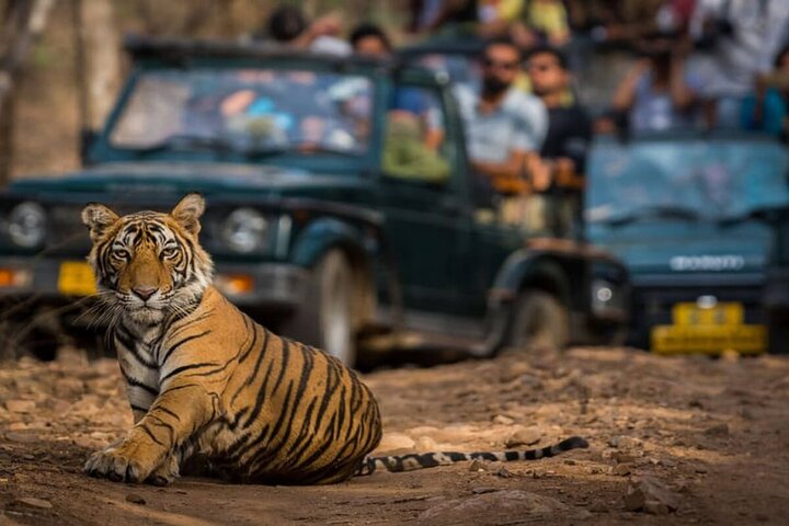 Golden Triangle & Ranthambore: 4-Day Private Tour from Delhi