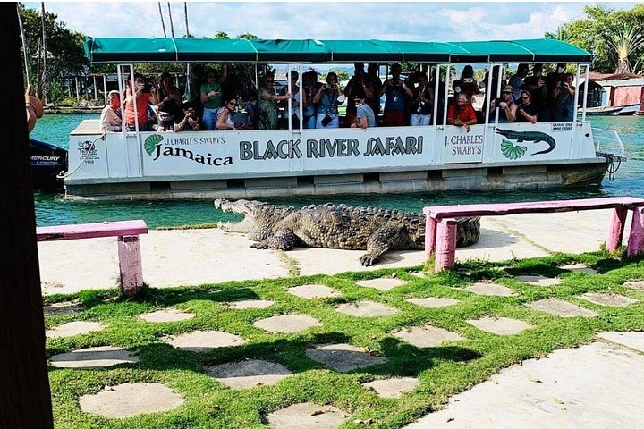 Black River Safari Guided Tour and YS Falls Day Tour