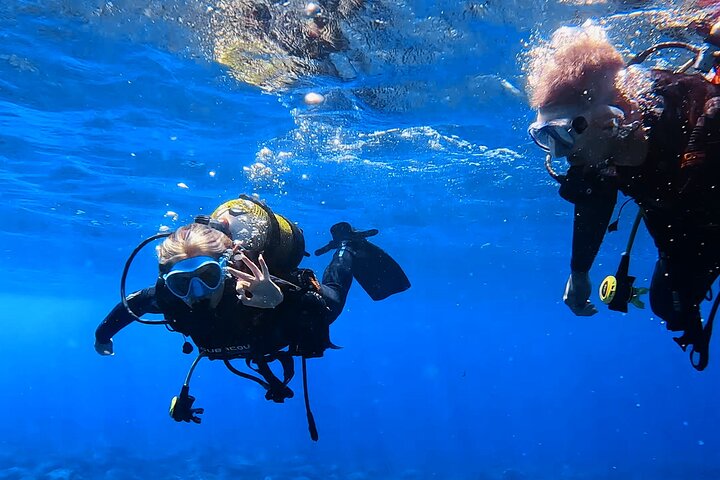Tenerife: Los Cristianos Small-Group Scuba Diving Experience