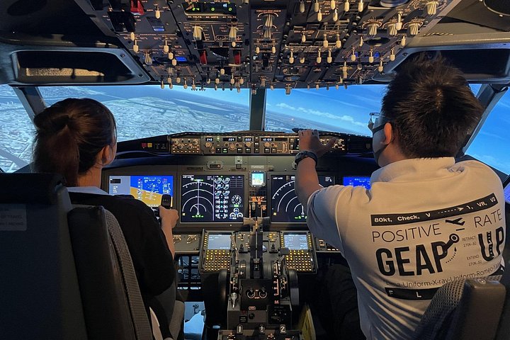 Tokyo Customized Tour & Flight Simulator with Licensed Guide