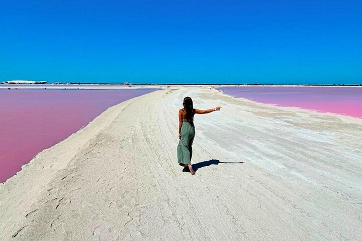From Riviera Maya: Safari in Rio Lagartos, Coloradas and Baño Maya