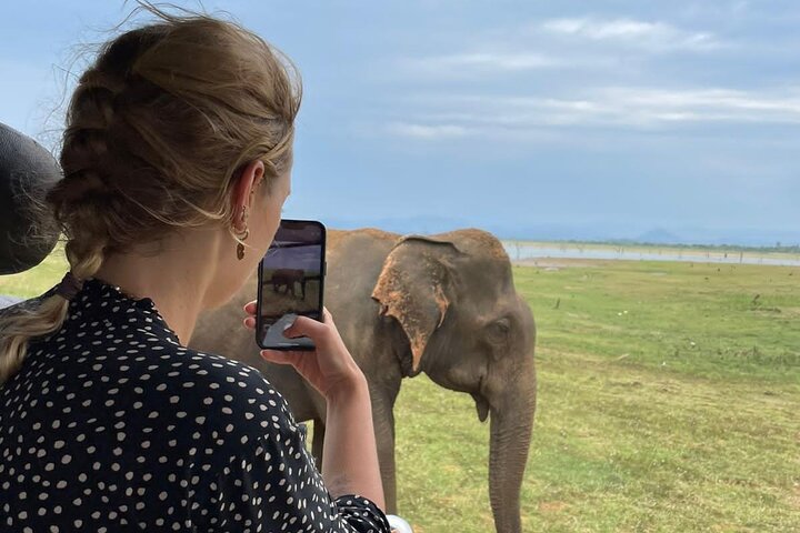 04 Hours Safari Jeep Tours
