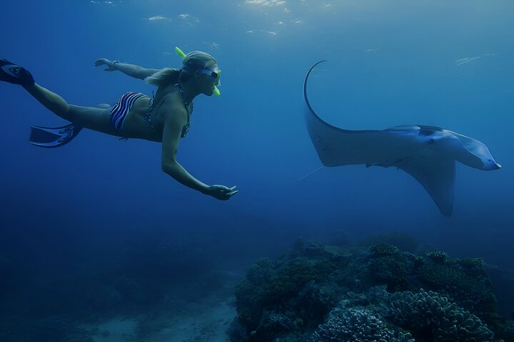 Nusa Penida Private Day Tour with Snorkeling & Kelingking Beach