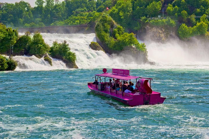Rhine Falls private day tour from Zurich