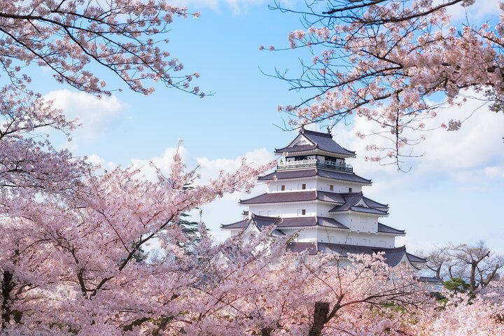 Tsuruga Private Customizable Full Day Tour