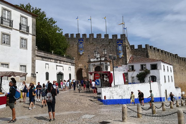 One Way Private Tour Douro Valley to Lisbon via Coimbra Obidos