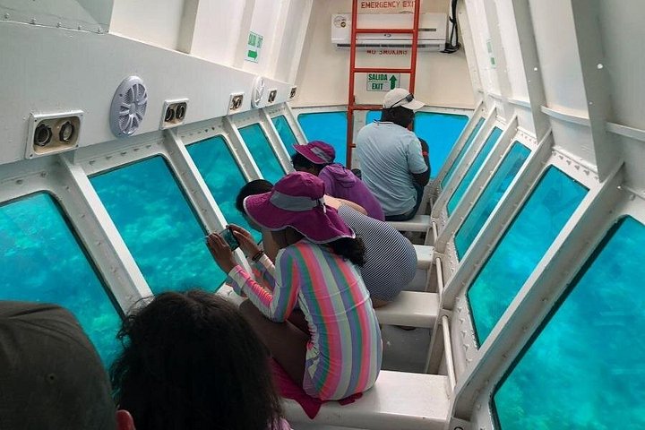 Roatan Zip Line Wildlife & Glass Bottom Boat Combo