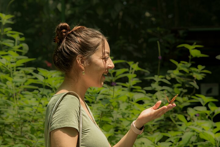 La Fortuna Arenal Bird Feeder Station and Butterfly Garden