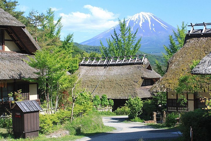 Experience the Stunning Nature of Mt.Fuji - Private Tour