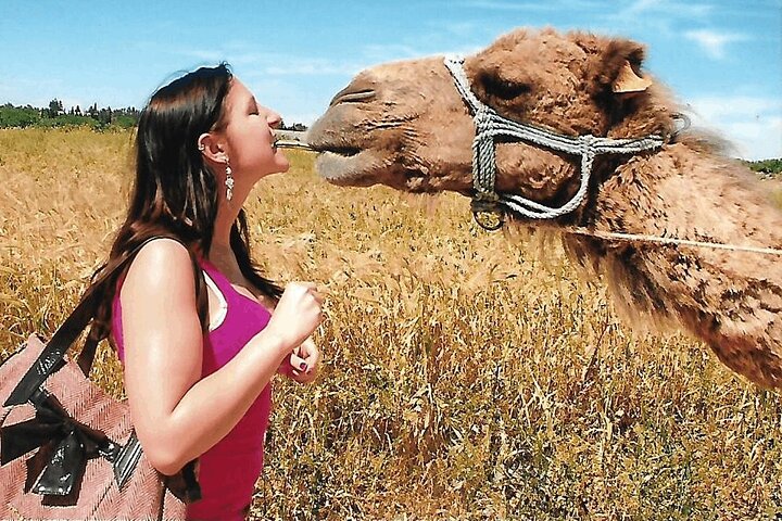 Cultural Experience of Bedouin Village in Mahdia