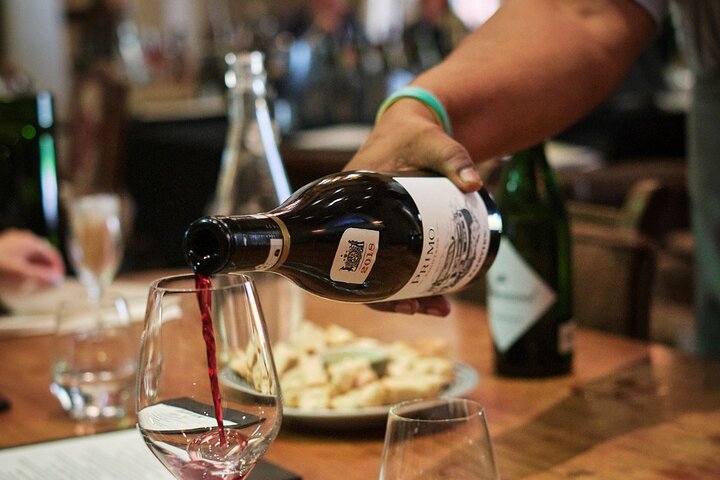 Visite d'une journée complète des vignobles avec dégustation de vins du Cap