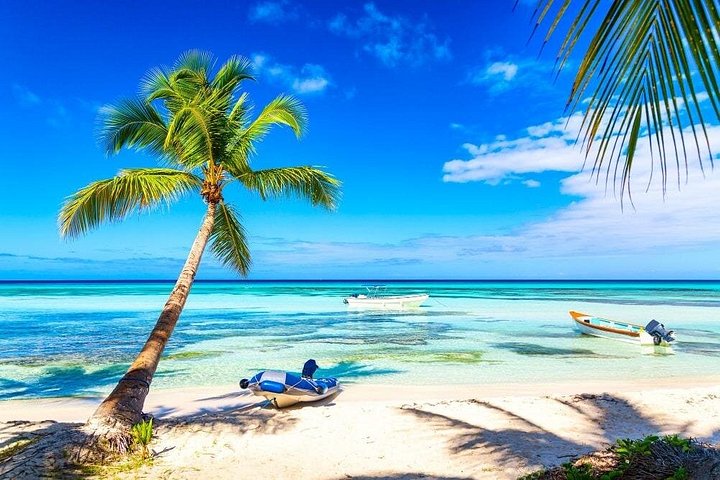Full Day Saona Island Excursion with Lunch from Punta Cana