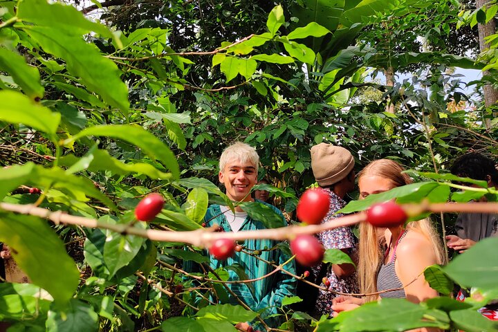 Hidden Arusha Waterfall, Village & Coffee Tour (All-Inclusive)