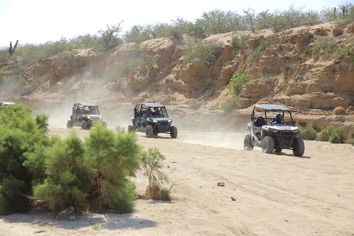 Cabo 2-Seater Off-Road UTV and Camel Ride with Lunch and Tequila