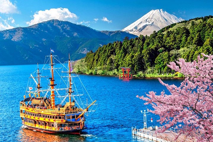 Mt Fuji Hakone Tour from Tokyo: Cable Car and Cruise Option