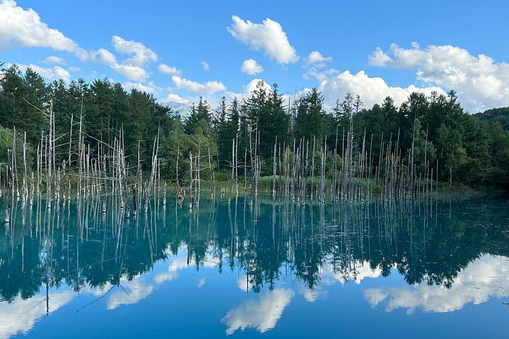 Blue Pond & Shirahige Falls Private Tour with Driver-Guide