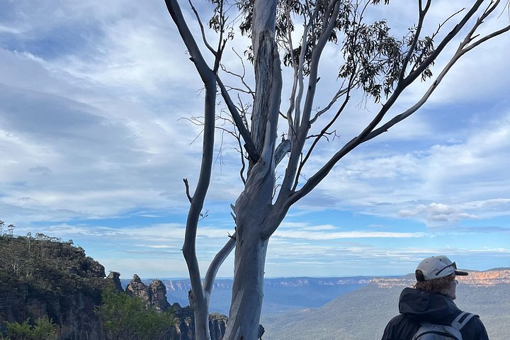 Private Blue Mountains Eco Day Tour
