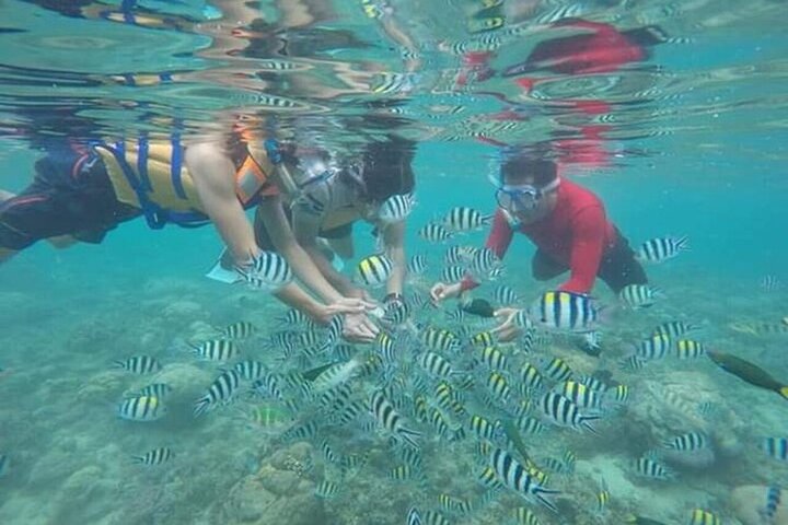 Private Guided Snorkeling Tour in Gili Nanggu, Sudak & Kedis