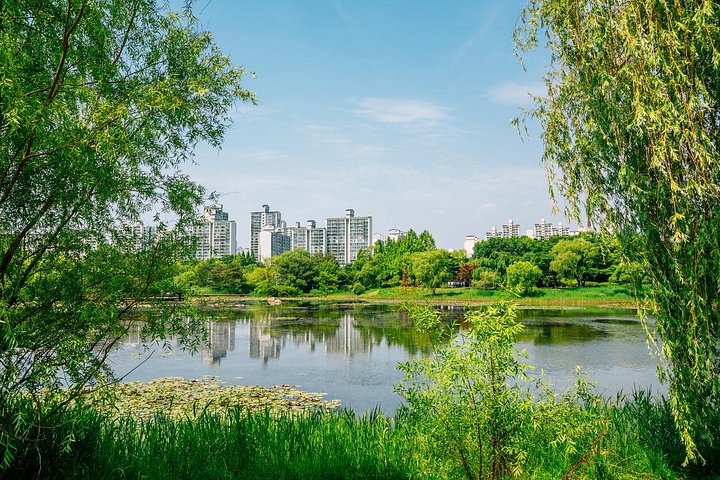 Scenic & Modern Wonders of Goyang-si: A Full-Day Private Tour