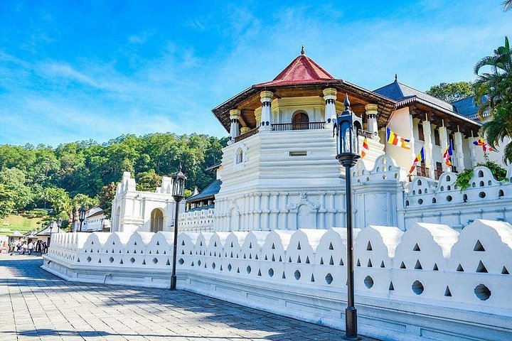 3 Days Tour Airport to Kandy Dambulla, Sigiriya and Trincomalee