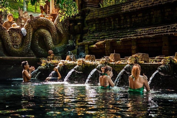 Ubud Private Day Tours - Instagramable Spot and More