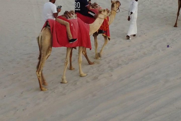 Private Doha Quad Bike, Horse Ride, Camel Ride All Inclusive Tour