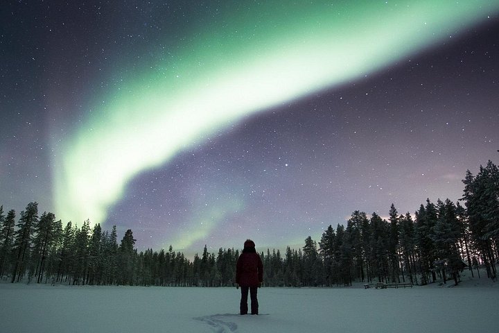Small-Group Night Snowshoeing Experience in Rovaniemi
