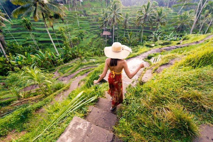 Ubud Full Day Tour with Jungle swing and waterfall
