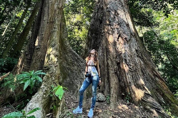 Cuc Phuong National Park: Nature Trekking with a Local Guide