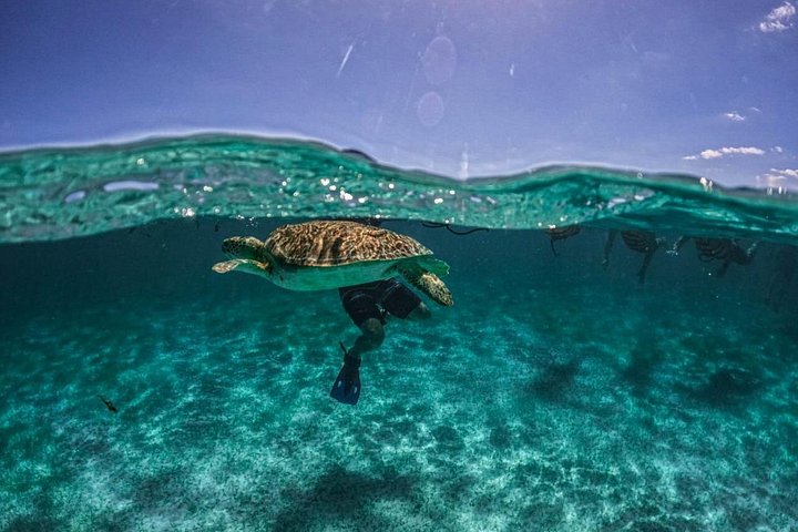 Small-Group Akumal Snorkeling and Cenote Tour with Lunch