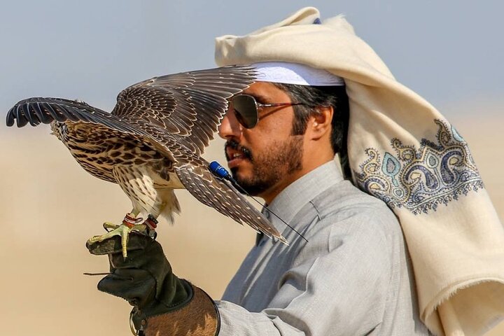 Combo Doha City and Desert Safari Tour Qatar