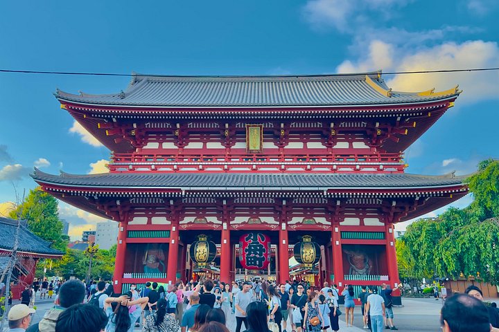 Tokyo private tour with English speaking driver