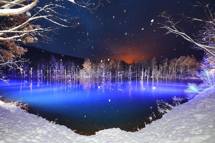 Asahiyama Zoo, Blue Pond & Shirahige Falls Winter from Sapporo