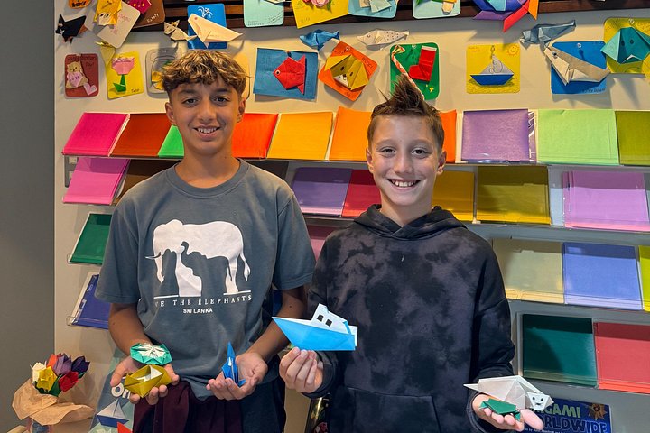 Tokyo Customized Tour & Origami Class with Licensed Guide