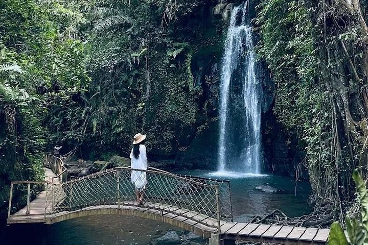 Private Guided Tour: The Best Of Ubud With Jungle Swing
