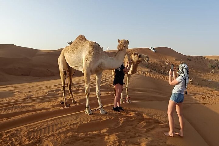 Dubai Private Morning Lahbab Red Dunes Safari & Camel Ride