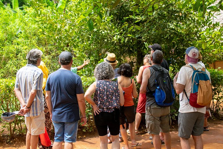 Spice Tour & Cooking Class in Zanzibar